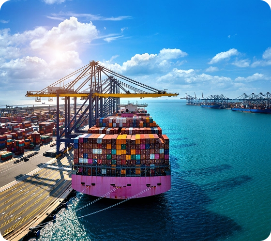  iran specialized export and dried fruits