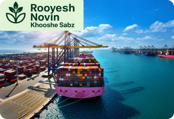 About  Rooyesh Novin