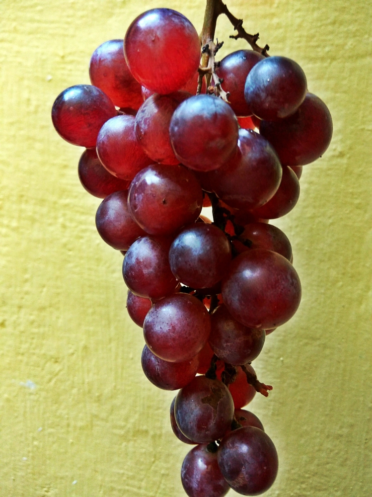 Exportation de raisins