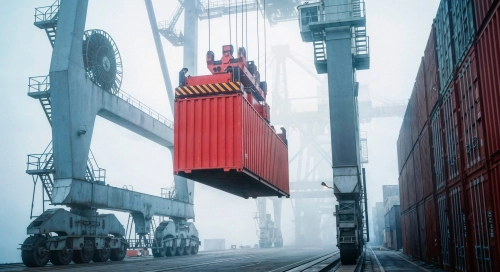  صادرات تخصصی خشکبار و گیاهان دارویی ایران