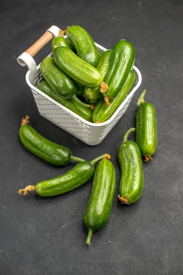 خیار