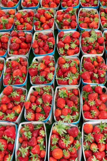 توت فرنگی گلخانه‌ای