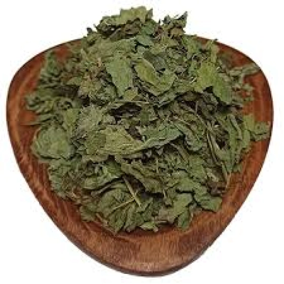 بادرنجبویه