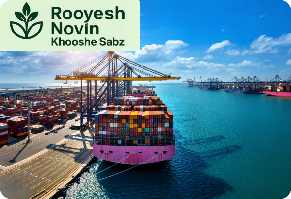 کنترل کیفیت و آماده‌سازی صادراتی.